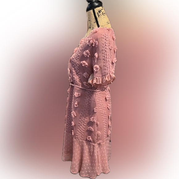 NWT Andree by Unit Ruffle Dress Size M Rose Chenille Swiss Dot Sexy Lined Belted - Picture 8 of 15